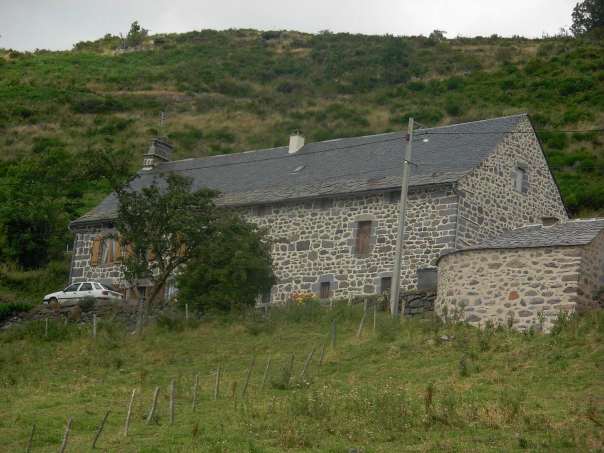 Vacances Au Pied Des Monts Du Cantal Laveissière Exterior foto